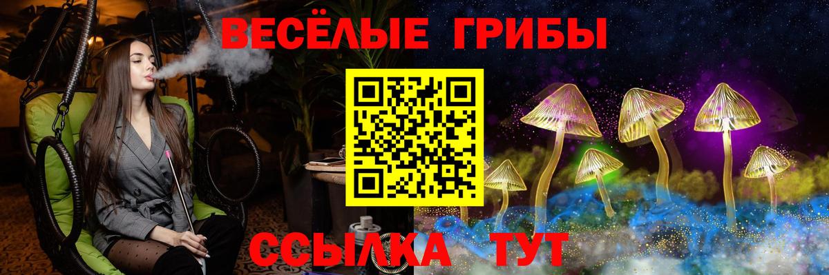 Галлюциногенные грибы Psilocybe  Вход с VPN  Южно-Сахалинск 